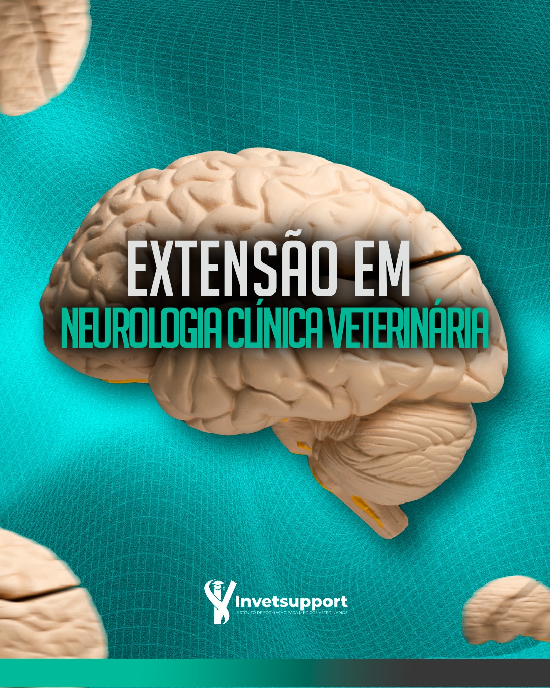 Neurologia